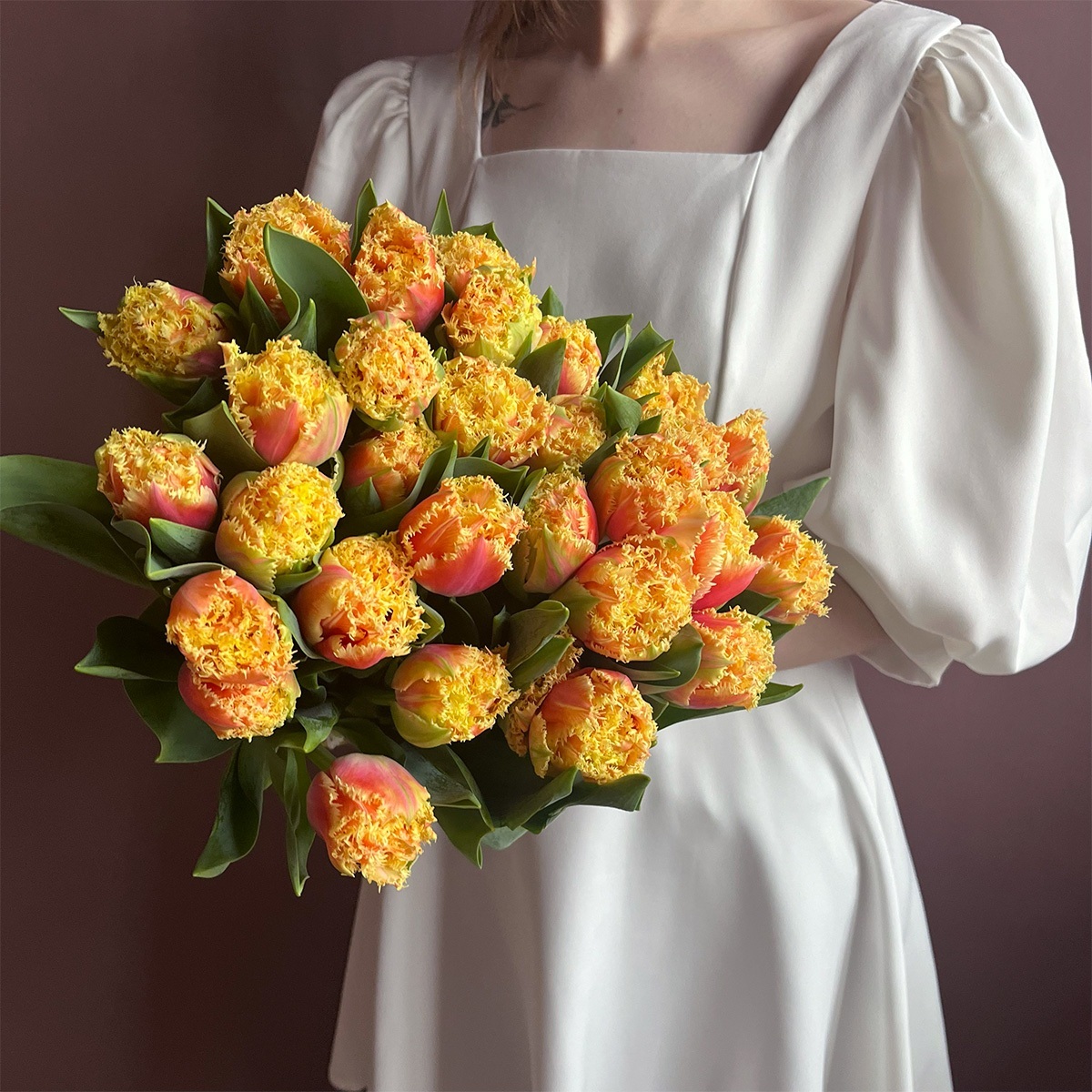 Букет из премиальных тюльпанов Брисбен, 7 шт